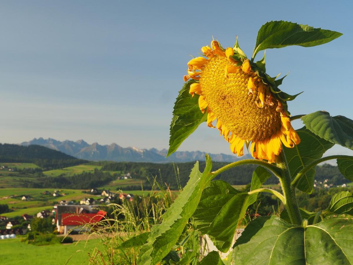 Chalet Loft&hill Grywald
